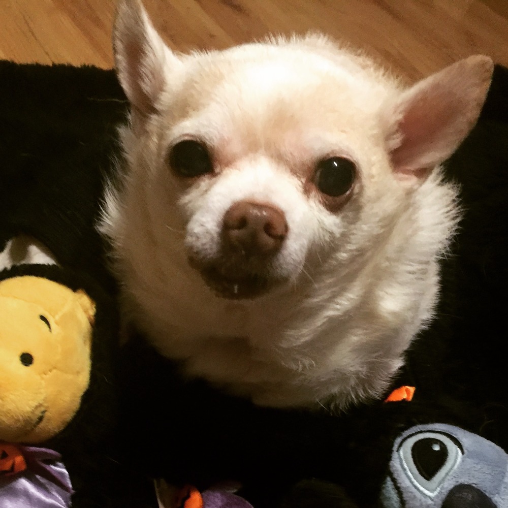 Meet your Posher, Ange